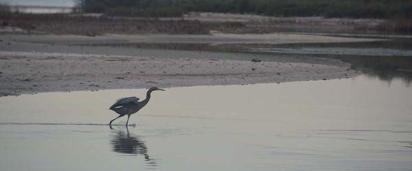 Baffin Bay Flats Fishing