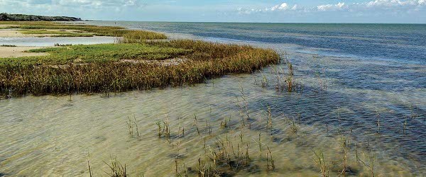 Laguna Madre Flats Fly Fishing