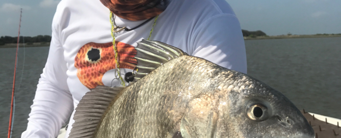 Black Drum Fishing in Rockport, Texas