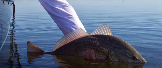 Rockport Fly Fishing in November